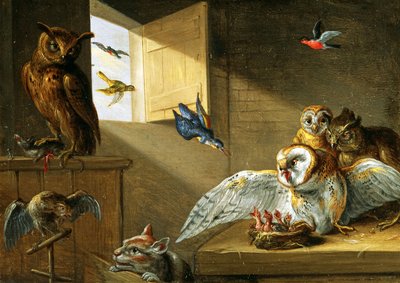 A Family of Owls, Other Birds and a Cat by Jan van Kessel the Elder